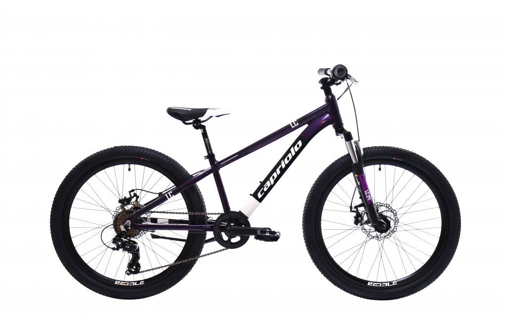 Capriolo LC 240 Mountain Bike - Violet kids bikes